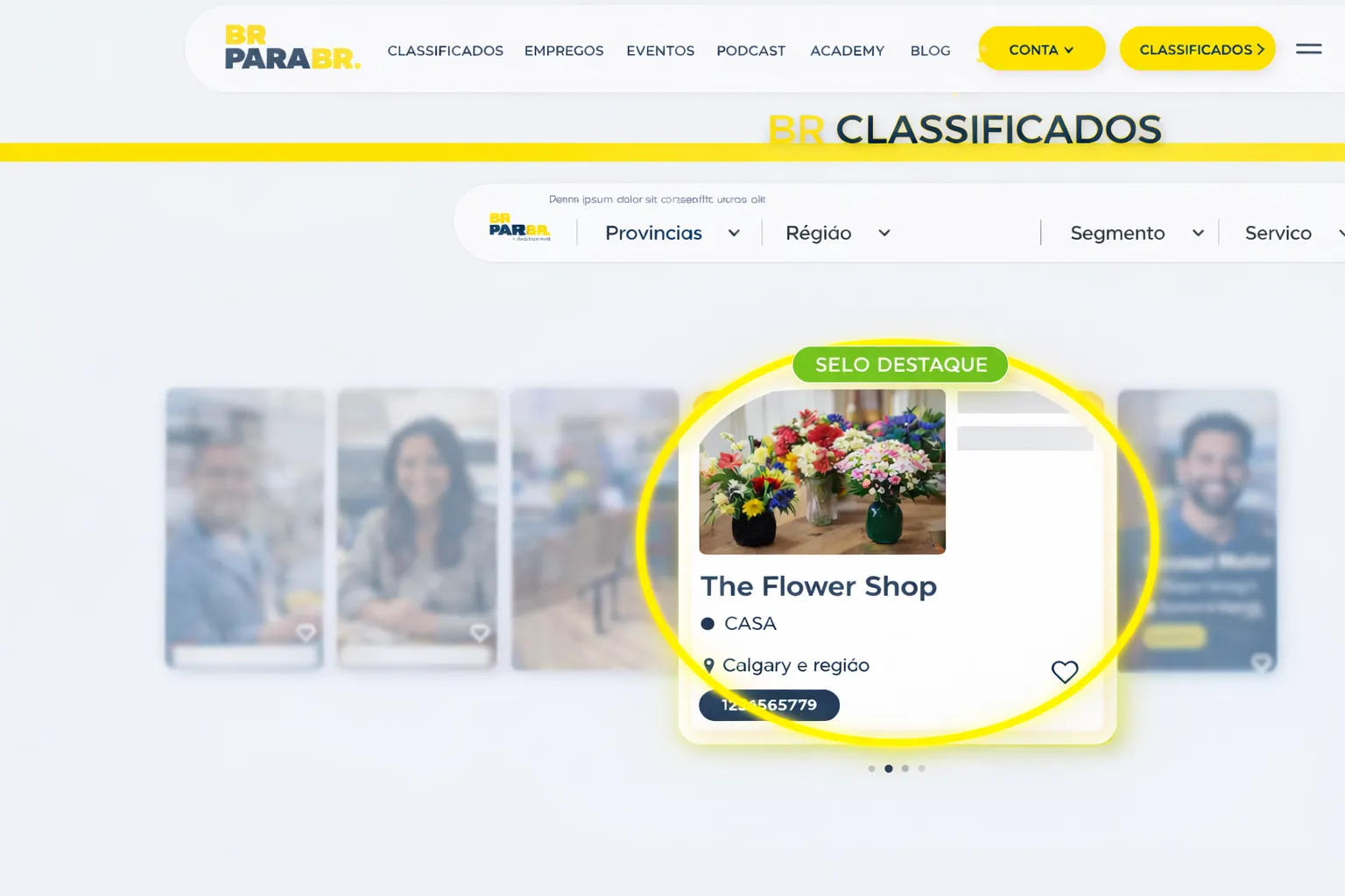 BrparaBr-marketer-sample-2